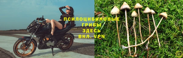 прущие крисы Пестово