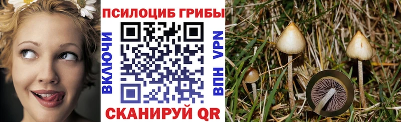 Галлюциногенные грибы мухоморы  Ак-Довурак 